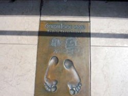  Golden Foot-2011   ,     
